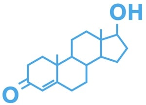 Hormonok