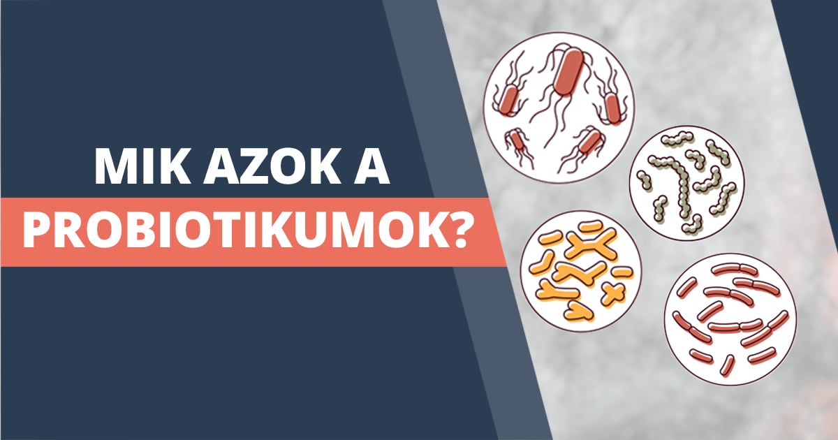 Mik a probiotikumok és hogyan segíthetnek?