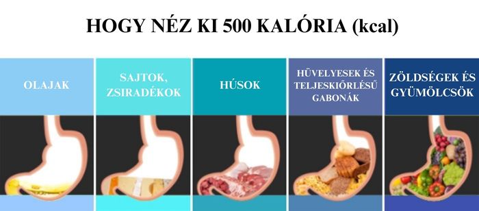 Hogy néz ki 500 kalória