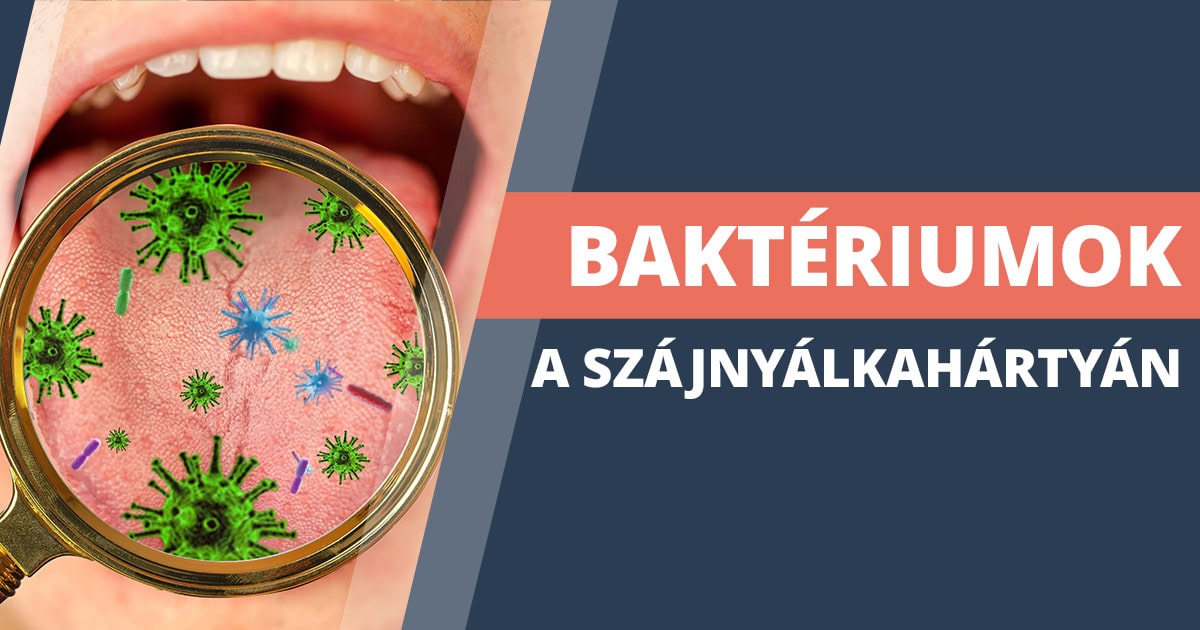 Bakteriumok a szajnyalkahartyan